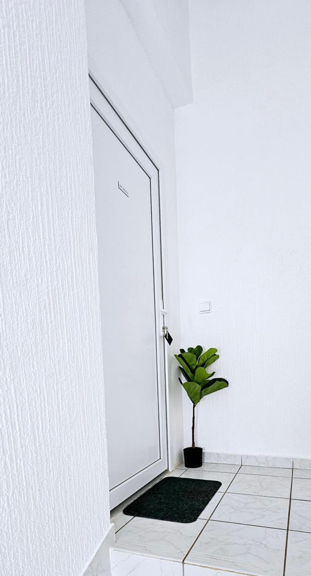 Apartament Kadenca Umag Zewnętrze zdjęcie