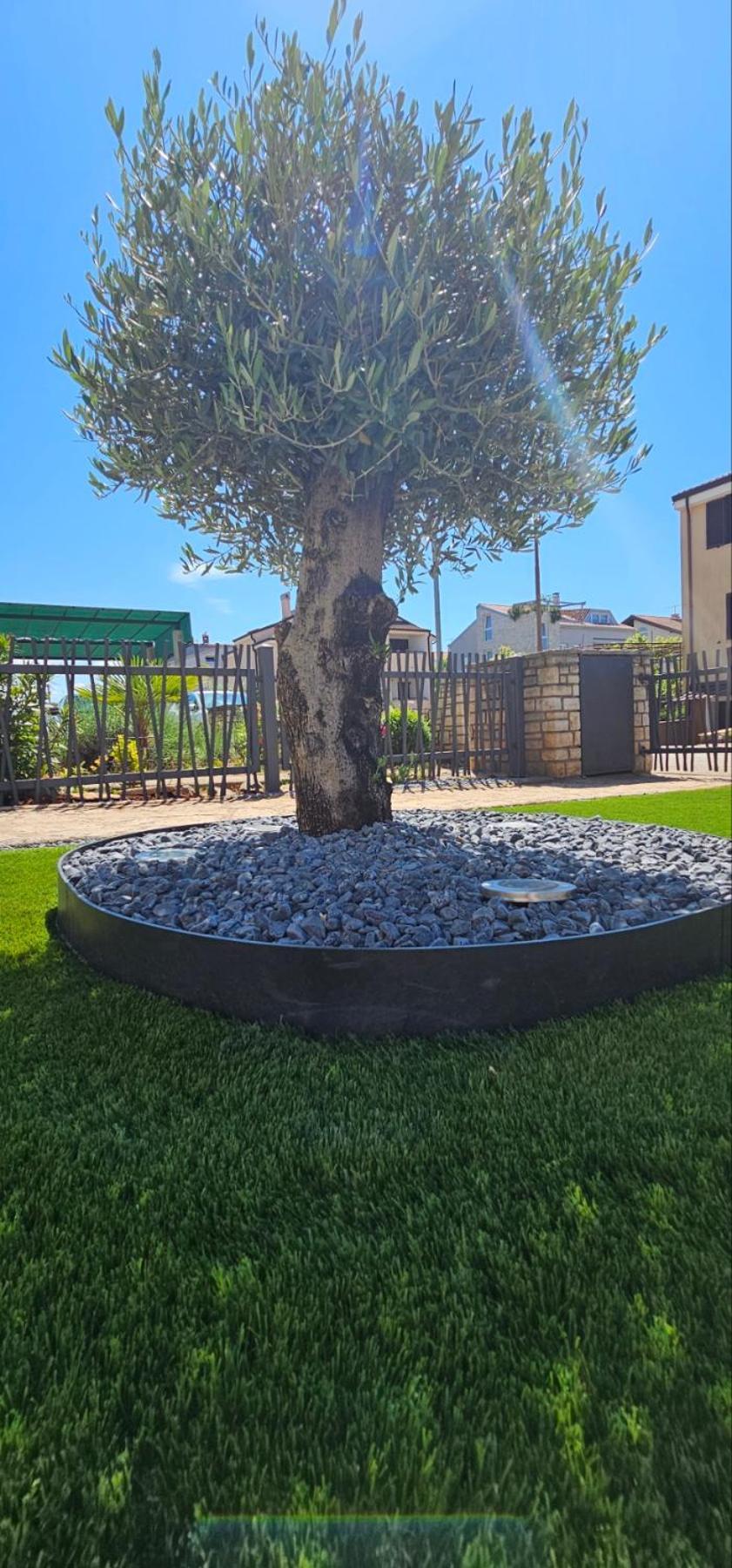 Apartament Kadenca Umag Pokój zdjęcie