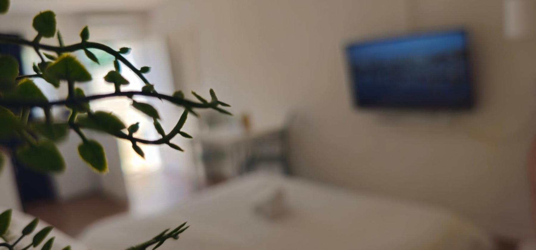 Apartament Kadenca Umag Pokój zdjęcie