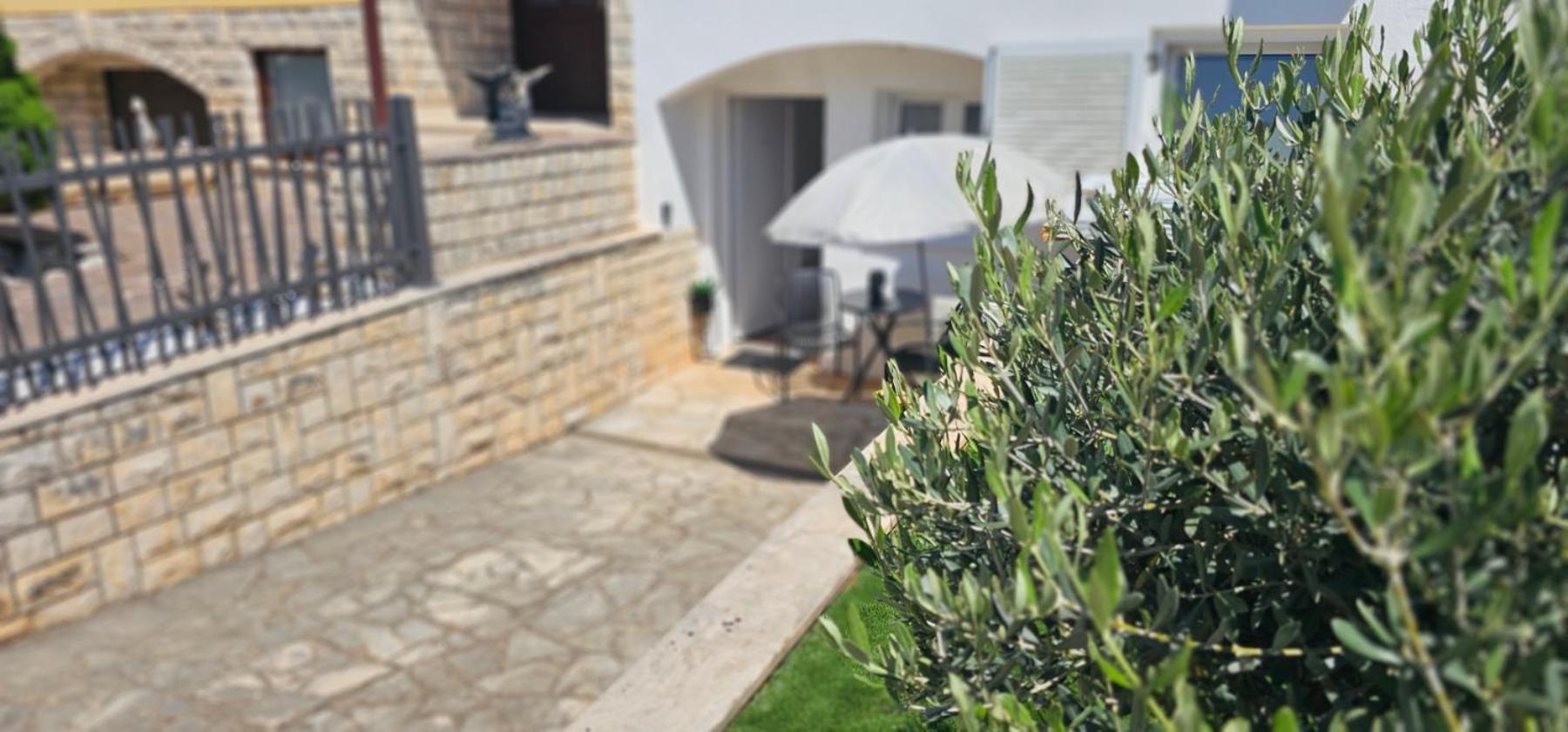 Apartament Kadenca Umag Zewnętrze zdjęcie